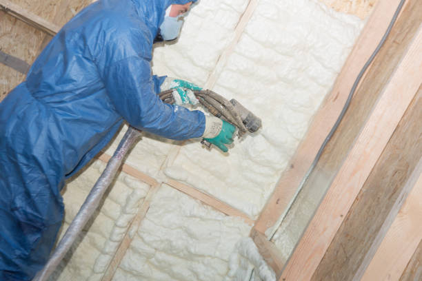 Best Garage Insulation  in Greeneville, TN